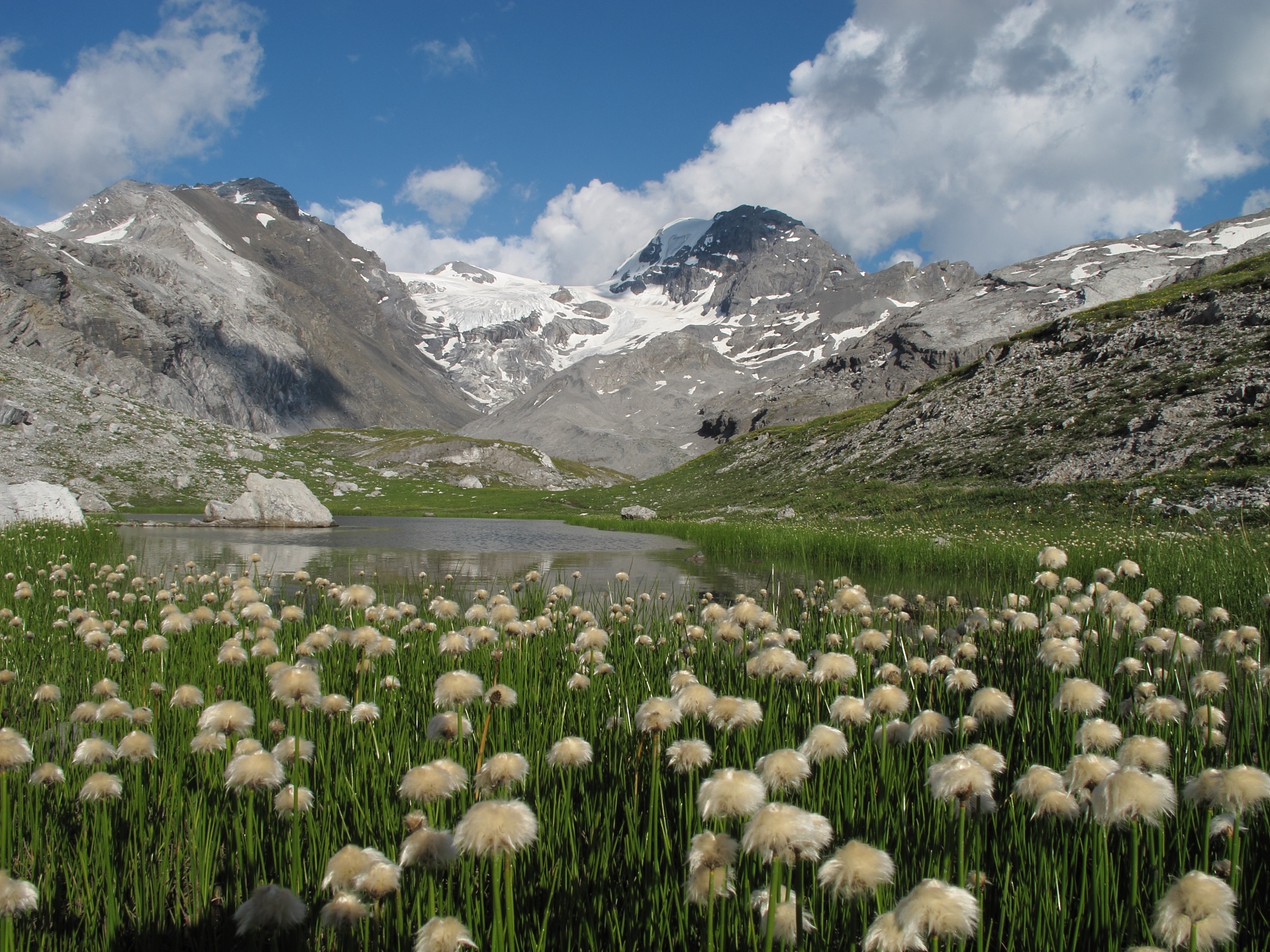 Baita alpina nel paesaggio del Parco dello Stelvio al tramonto
